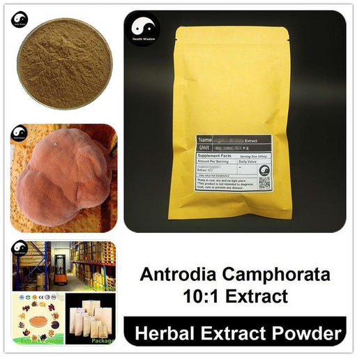 Antrodia Camphorata Extract Powder, Antrodia Camphorata P.E. 10:1, Niu Zhang Zi-Health Wisdom™