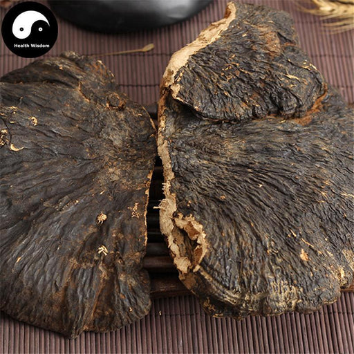 Bao Shu Ling Zhi 薄树灵芝, Reishi Mushroom, Dried Ganoderma Lucidum, Wild Lingzhi Tea-Health Wisdom™