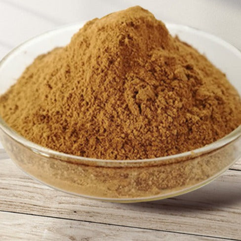 Cacumen Platycladi Extract Powder 10:1, Arborvitae Twig P.E., Ce Bai Ye-Health Wisdom™