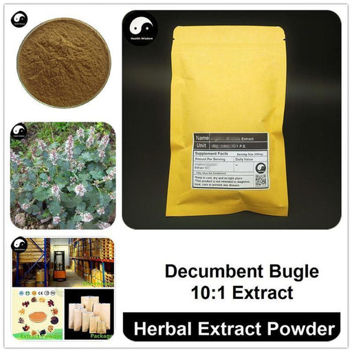 Decumbent Bugle Extract Powder, Ajuga Nipponensis Makino P.E. 10:1, Bai Mao Xia Ku Cao-Health Wisdom™