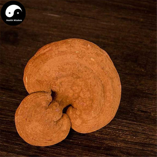 Dried Reishi Mushroom, Chinese Ganoderma Lucidum Tea, Ling Zhi 灵芝-Health Wisdom™