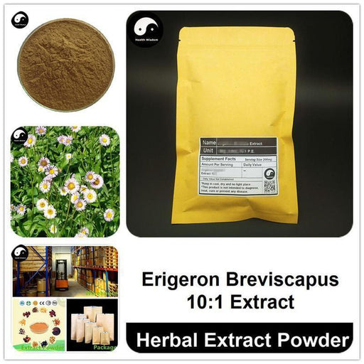 Erigeron Breviscapus Extract Powder, Erigeron Breviscapus P.E. 10:1, Deng Zhan Hua-Health Wisdom™