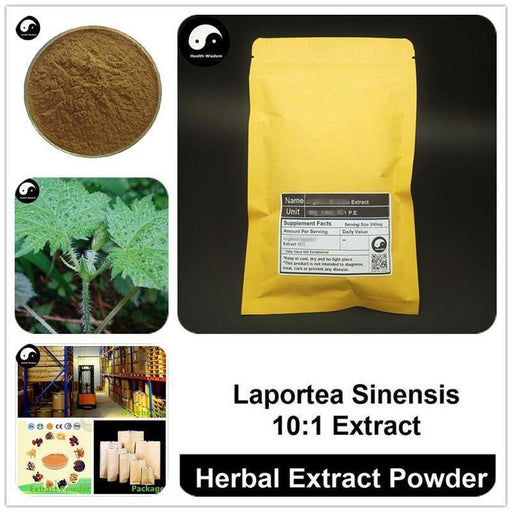 Laportea Sinensis Extract Powder, Laportea Sinensis P.E. 10:1, Ai Ma Cao-Health Wisdom™