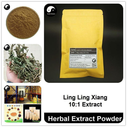 Ling Ling Xiang Extract Powder, Lysimachia foenum-graecum Hance P.E. 10:1, Ling Xiang Cao-Health Wisdom™
