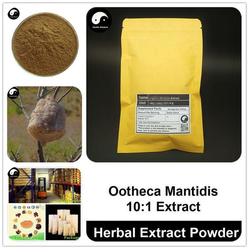 Ootheca Mantidis Extract Powder, Praying Mantis Egg-Case P.E. 10:1, Sang Piao Shao-Health Wisdom™