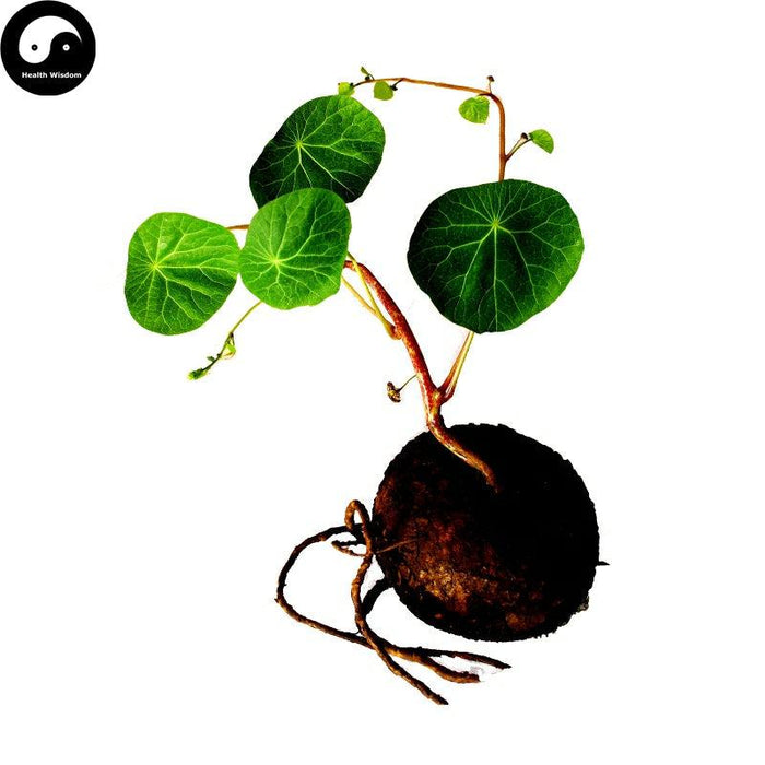Qian Jin Teng 千金藤, Stephania japonica (Thunb.) Miers Stem-Health Wisdom™