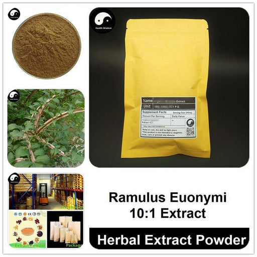 Ramulus Euonymi Extract Powder, Winged Euonymus Twig P.E. 10:1, Gui Jian Yu-Health Wisdom™