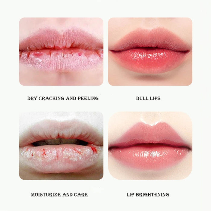 1 Piece Fresh Fruit Moisturizing Lip Balm for Lips Repair Brighten Nourishing Lip Gloss Men and Women Lips Skin Care-Health Wisdom™