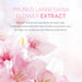60pcs LAIKOU Centella Sakura Sleeping Facial Masks Moisturizing Hydrating and Nourishing skincare Face Mask for Beauty Skin Care-Health Wisdom™