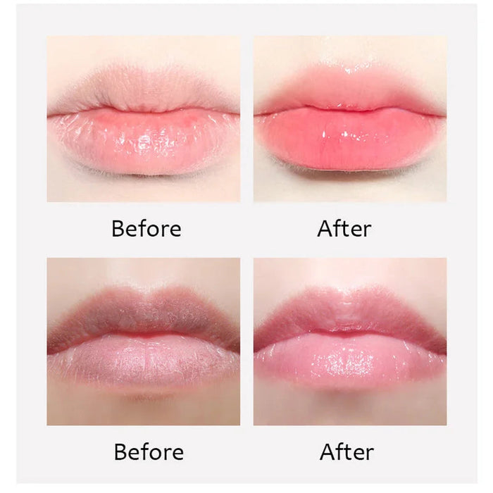 6pcs Moisturizing Lip Balm Aloe Honey Strawberry Lipstick Anti Wrinkles Nourishing Lips Skin Care Products-Health Wisdom™