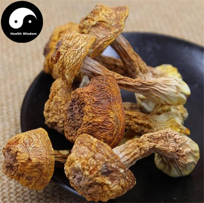Agaricus Blazei Mushroom, Agaricus Brasiliensis, Himematsutake, Ji Song Rong 姫松茸-Health Wisdom™
