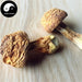 Agaricus Blazei Mushroom, Agaricus Brasiliensis, Himematsutake, Ji Song Rong 姫松茸-Health Wisdom™