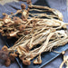 Agrocybe Aegerita, Yanagimatsutake, Chestnut Mushroom, Cha Shu Gu 茶树菇