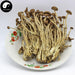 Agrocybe Aegerita, Yanagimatsutake, Chestnut Mushroom, Cha Shu Gu 茶树菇-Health Wisdom™