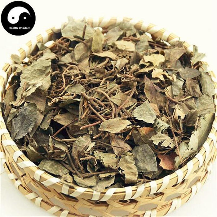 Ai Di Cha 矮地茶, Herba Ardisiae Japonicae, Japanese Ardisia Herb, Ping Di Mu