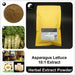 Asparagus Lettuce Extract Powder, Lactuca Sativa P.E. 10:1, Wo Sun-Health Wisdom™