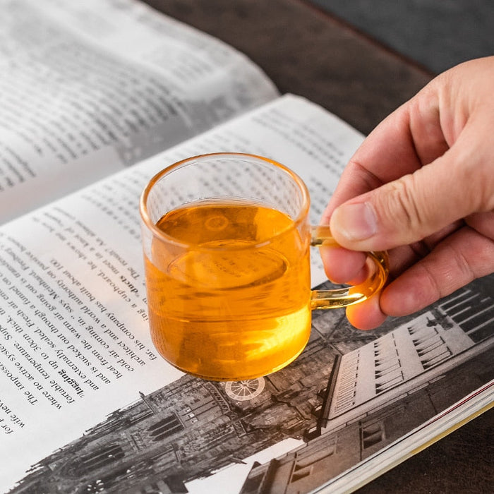 Automatic Teapot Tea Infuser Magnetic Water Diversion Heat-resistant Kungfu Tea Drinking Creative GlassTea Set-Health Wisdom™