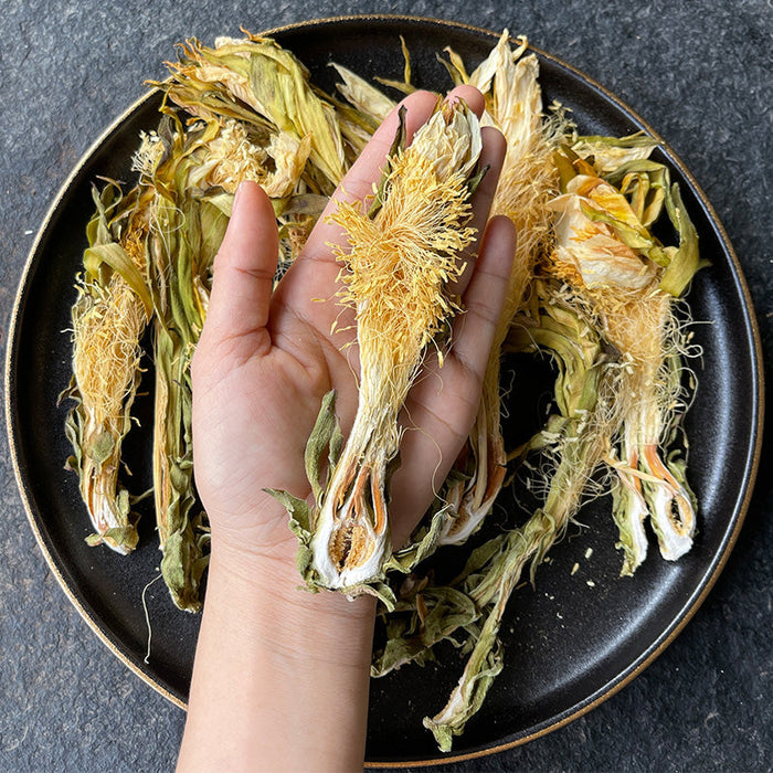 Ba Wang Hua 霸王花, Dried Hylerereus Undatus Flower, FIos Hylerereus Undatus, Huo Long Guo Hua 火龙果花-Health Wisdom™