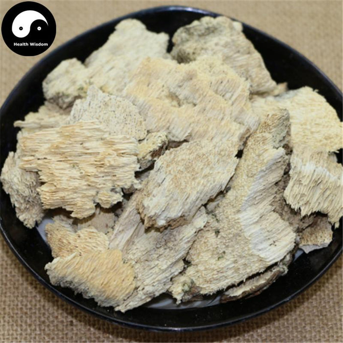 Bai Ba Chi Jun 白耙齿菌, White Tine Bacteria, Medicinal Fungus-Health Wisdom™