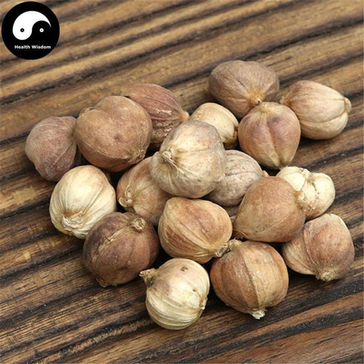 Bai Dou Kou 白豆蔻, Bai Kou Ren, Round Cardamom Fruit, Java Amomum Fruit, Fructus Amomi Rotundus-Health Wisdom™