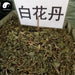 Bai Hua Dan 白花丹, Whiteflower Leadword Herb, Herba Plumbaginis Zeylanicae
