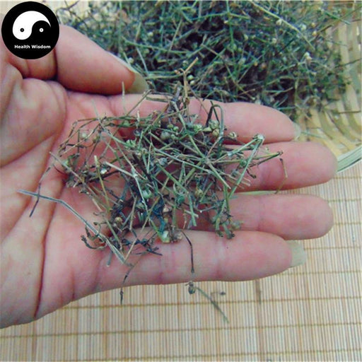 Bai Hua She She Cao 白花蛇舌草, Herba Hedyotidis Diffusae, Spreading Hedyotis Herb