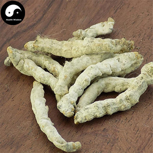 Bai Jiang Can 白僵蚕, Bombyx Batryticatus, Silkworm Larva, Bombyx Mori