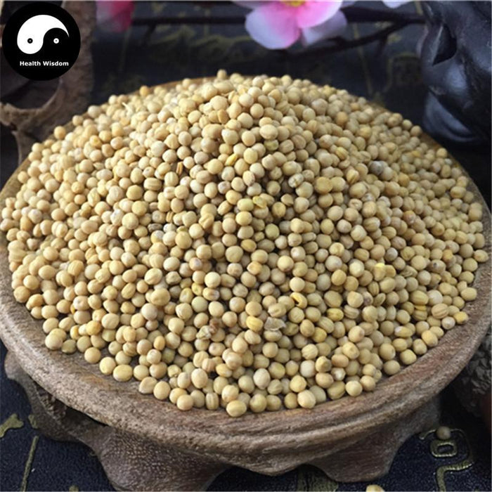 Bai Jie Zi 白芥子, Semen Brassicae, White Mustard Seed, Semen Sinapis Albae-Health Wisdom™