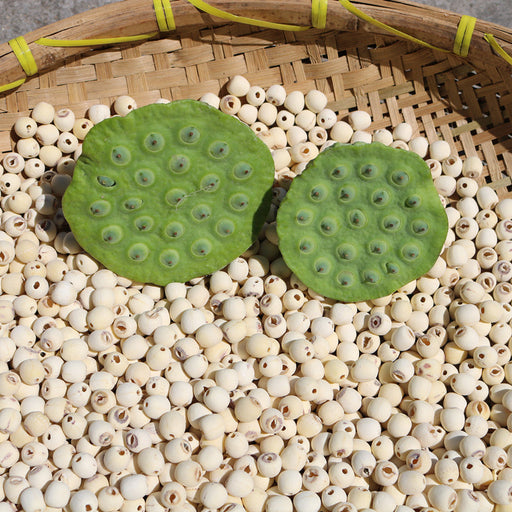 Bai Lian Zi 白蓮子, Semen Nelumbinis, Lotus Seed