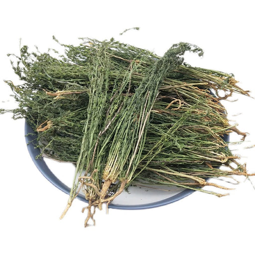 Bai Rui Cao 百蕊草, Chinese Bastardtoadflax Herb, Herba Thesii, Bai Ru Cao