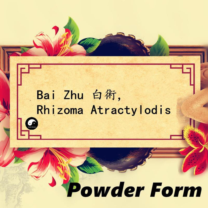 Bai Zhu 白術, Rhizoma Atractylodis Powder, Largehead Atractylodes Rhizome-Health Wisdom™