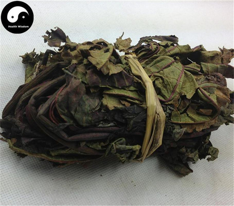 Bi Ma Ye 蓖麻叶, Leaf Ricini, Castor Leaves-Health Wisdom™