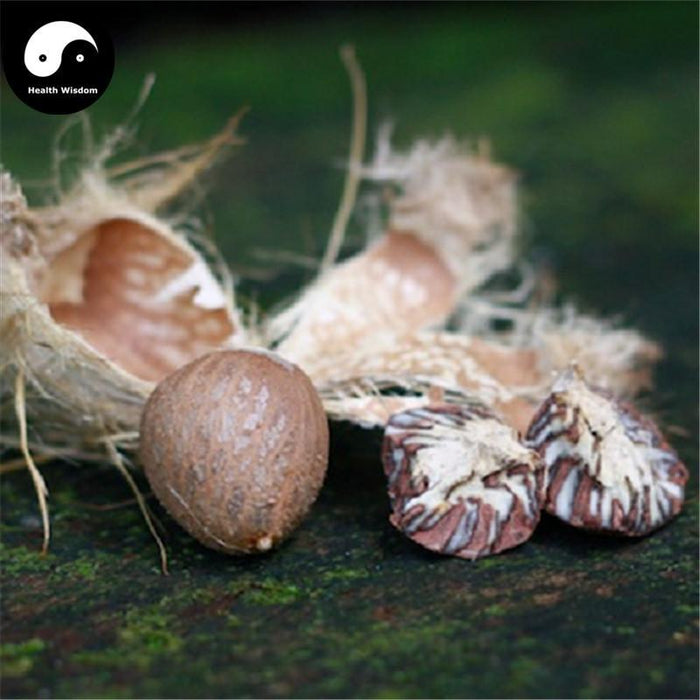 Bing Lang Ge 檳榔个, Semen Arecae, Areca-Nut, Da Fu Zi, Areca Seed-Health Wisdom™