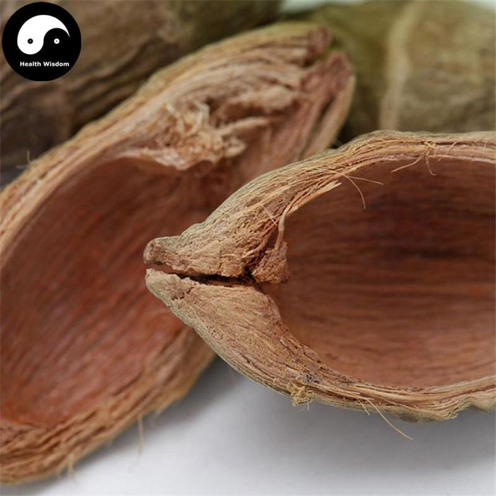 Bing Lang Pi 檳榔皮, Semen Arecae Peel, Da Fu Pi 大腹皮, Pericarpium Arecae
