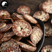 Bing Lang Pian 檳榔片, Semen Arecae, Areca-Nut, Da Fu Zi, Areca Seed-Health Wisdom™