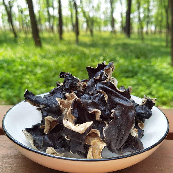 Black Fungus Mushroom, Auricularia Auricula, Agaric Wood Ear Fungus, Mao Hei Mu Er 毛黑木耳-Health Wisdom™