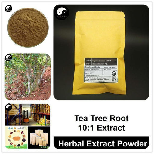 Camellia Sinensi Root Extract Powder, Tea Tree Root P.E. 10:1, Cha Shu Gen