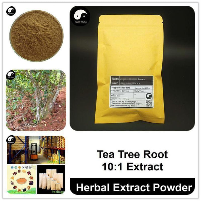 Camellia Sinensi Root Extract Powder, Tea Tree Root P.E. 10:1, Cha Shu Gen-Health Wisdom™