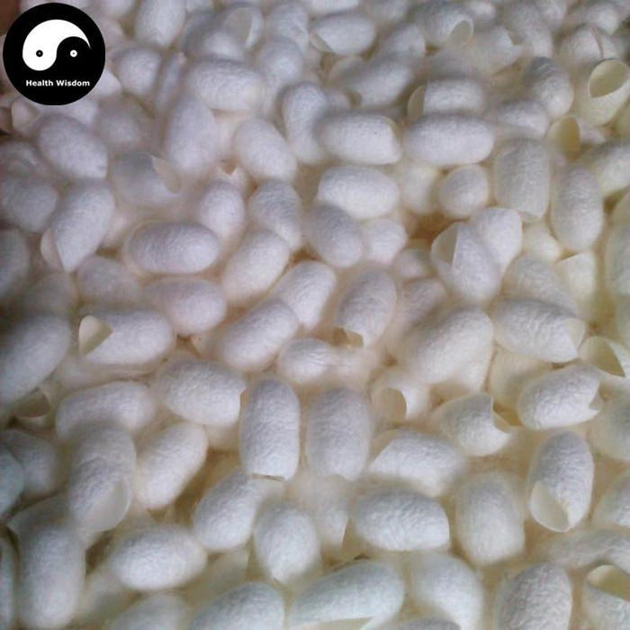 Can Jian 蚕茧, Silkworm Cocoon, Bombyx Mori-Health Wisdom™
