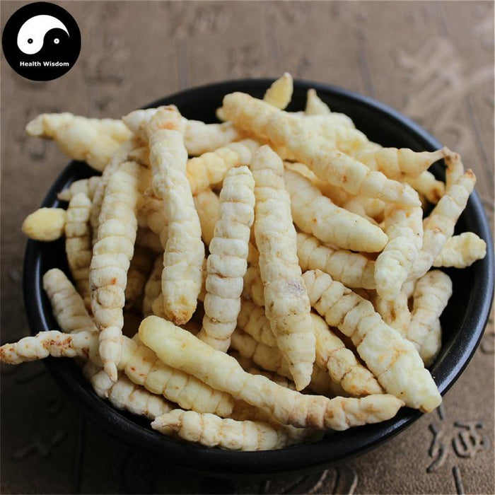 Cao Shi Can 草石蚕, Stachys Sieboldii Root, Di Can, Gan Lu Zi, Chinese Artichoke