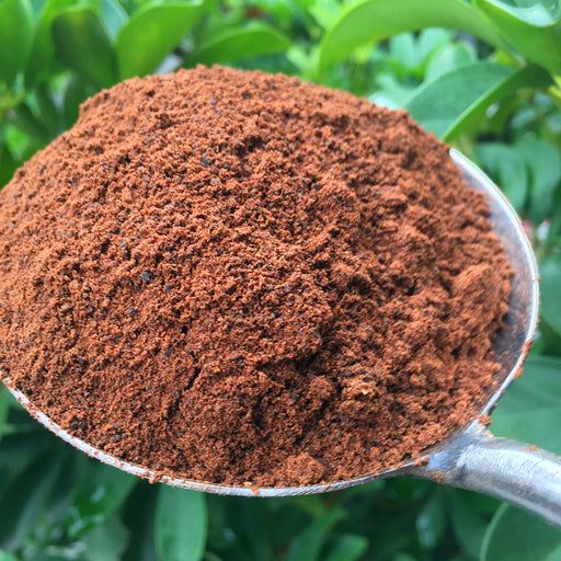 Cha Ku Fen 茶枯粉, Chinese Tea Seeds Powder, Camellia Sinensis Seed Powder Natural Herb Cleaner-Health Wisdom™