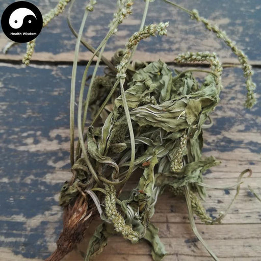 Che Qian Cao 車前草, Plantain Herb, Herba Plantaginis-Health Wisdom™