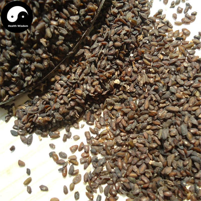 Che Qian Zi 車前子, Semen Plantaginis, Plantain Seed-Health Wisdom™