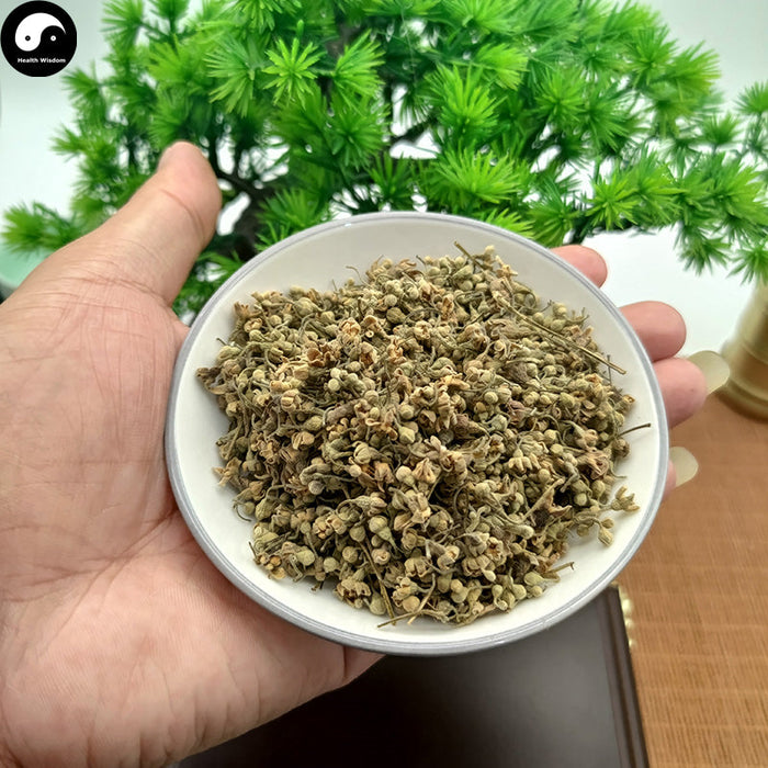 Chen Xiang 沉香, Agarwood Flower Tea, Aquilaria Sinensis-Health Wisdom™