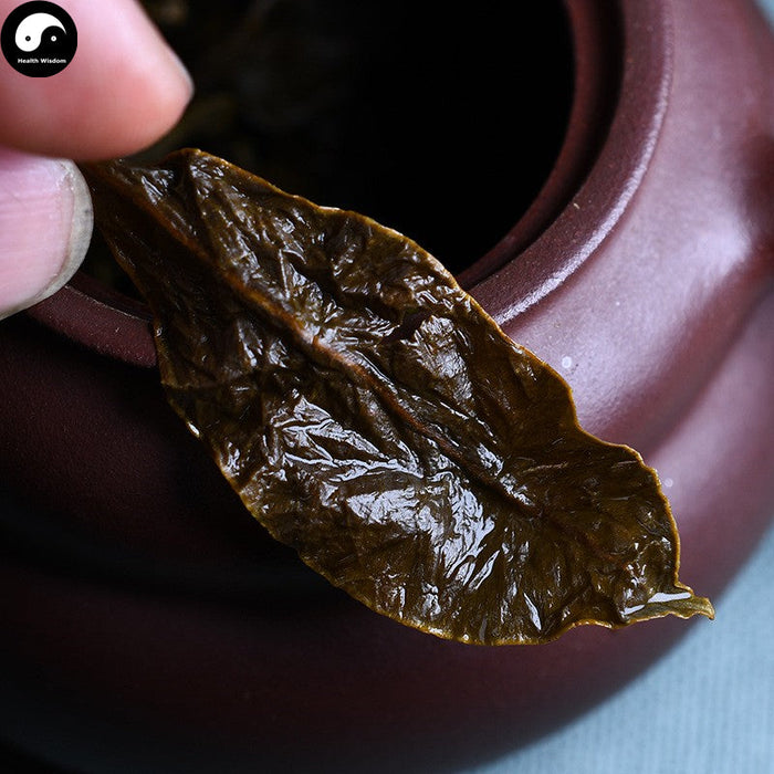 Chen Xiang 沉香, Agarwood Leaf Tea, Aquilaria Sinensis Leaves Tea