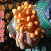 Chong Cao Hua 虫草花, Dried Cordyceps Militaris, Mushroom Cordyceps