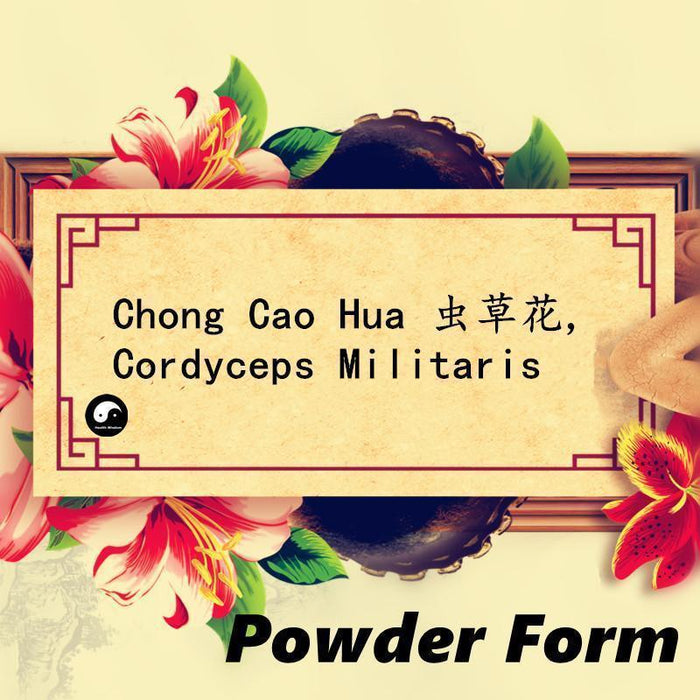 Chong Cao Hua Fen 虫草花粉, Cordyceps Militaris Powder, Mushroom Cordyceps