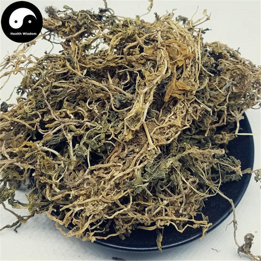 Chui Pen Cao 垂盆草, Stringy Stonecrop Herb, Herba Sedi Sarmentosi, Sedum Sarmentosum Bunge-Health Wisdom™