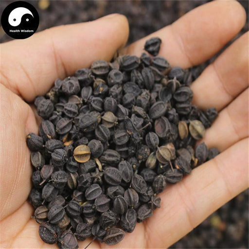 Ci Wu Jia 刺五加, Fruit Acanthopanax Senticosus, Acanthopanax Seeds-Health Wisdom™
