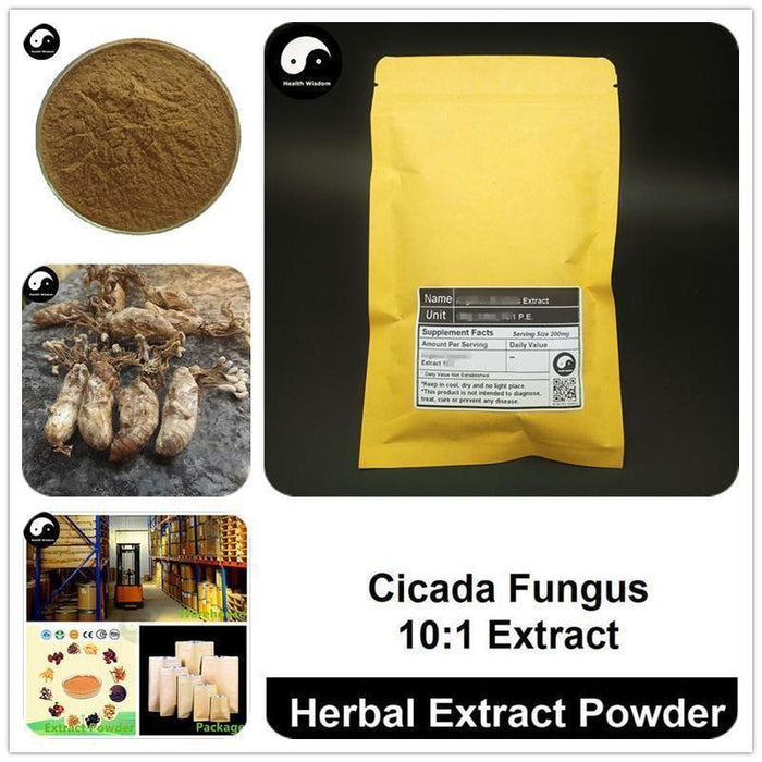 Cicada Fungus Extract Powder, Ophiocordyceps Sobolifera P.E. 10:1, Jin Chan Hua-Health Wisdom™